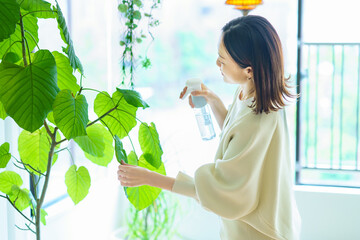 観葉植物の購入なら沖縄県金武町GOLDEN CAMPOS OKINAWAへ |GOLDEN CAMPOS OKINAWA