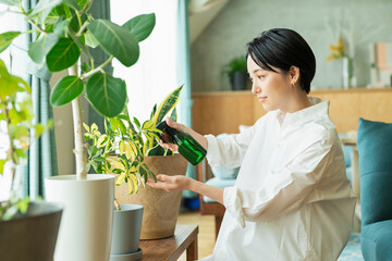 観葉植物ガジュマルの魅力と育て方｜沖縄県金武町GOLDEN CAMPOS OKINAWA